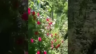 Дом Здоровья